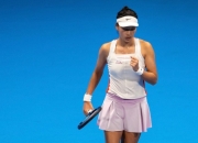 关于斯洛伐克队意外领跑，走势令人惊喜的信息