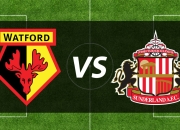 沃特福德主场胜出，球队在主场的统治继续延续！的简单介绍