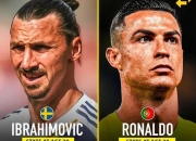 关于伊布加盟美职联，马球队雄心勃勃的信息