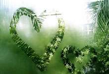 罗马前锋状态回升，独造帽子戏法领跑射手榜的简单介绍